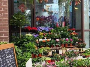 邻家小花店：绽放的鲜花与生活的美好瞬间预览图集