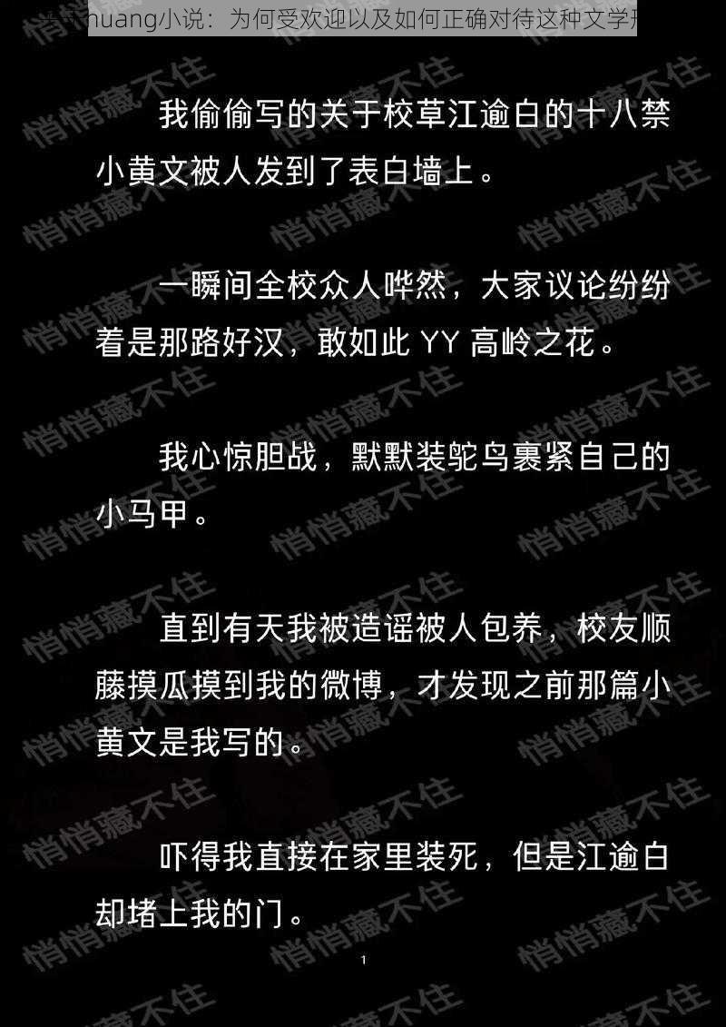 关于huang小说:为何受欢迎以及如何正确对待这种文学形式?