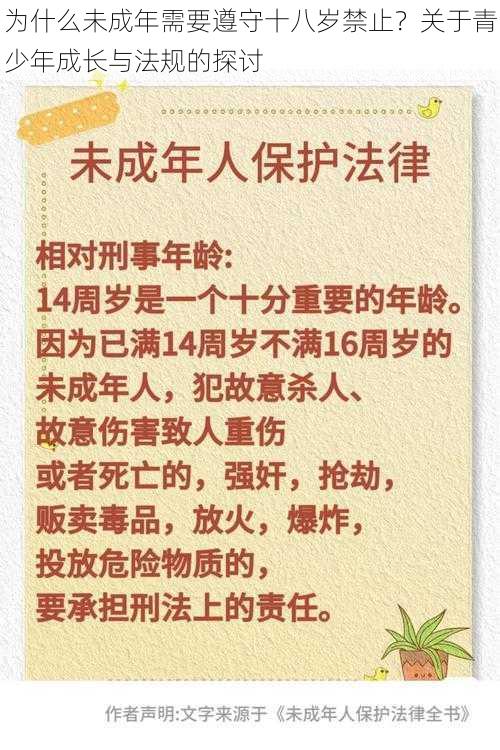 为什么未成年需要遵守十八岁禁止?关于青少年成长与法规的探讨