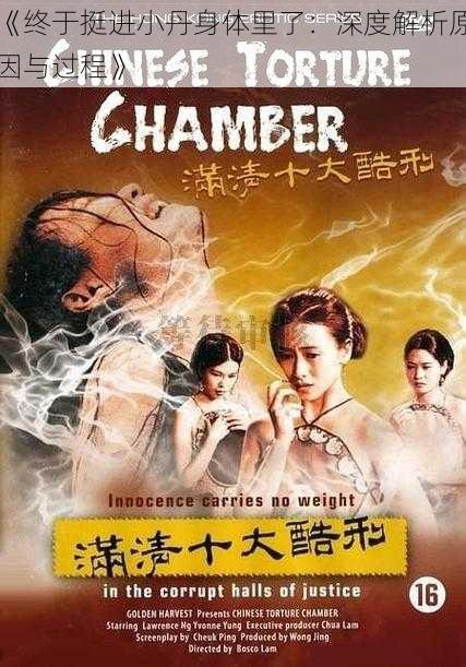 《终于挺进小丹身体里了:深度解析原因与过程》
