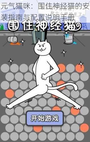 元气猫咪:围住神经猫的安装指南与配置说明手册