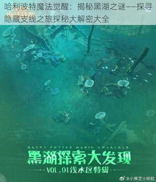 哈利波特魔法觉醒:揭秘黑湖之谜——探寻隐藏支线之旅探秘大解密大全