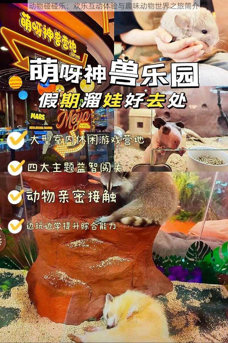 动物碰碰乐:欢乐互动体验与趣味动物世界之旅简介