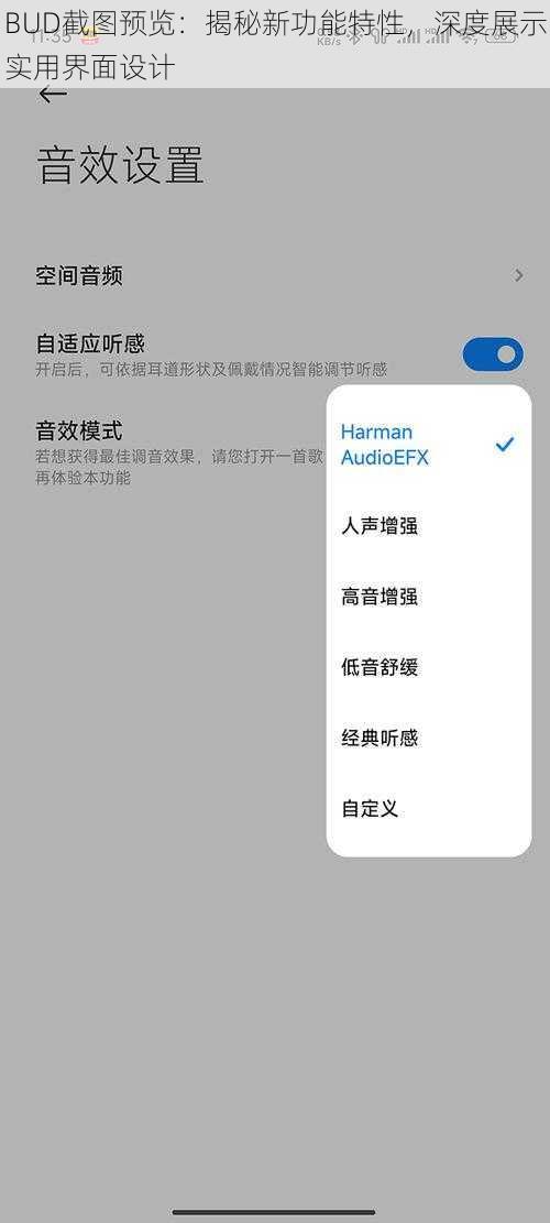 BUD截图预览:揭秘新功能特性,深度展示实用界面设计