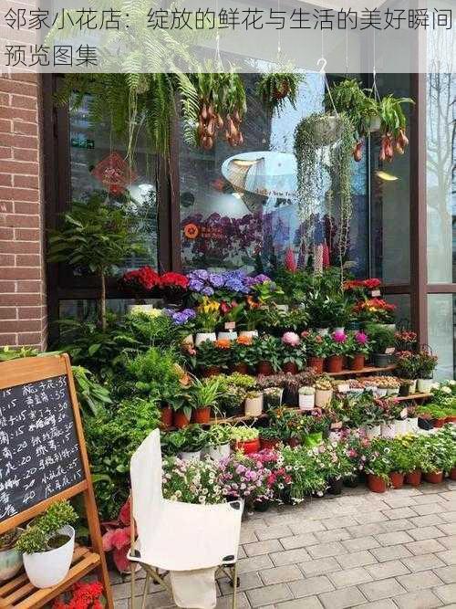 邻家小花店:绽放的鲜花与生活的美好瞬间预览图集